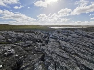 IMG_20210404_091954