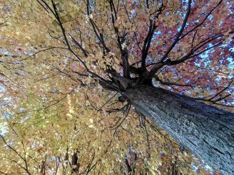 IMG_20210516_155600