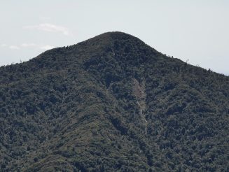 IMG_20221023_123845